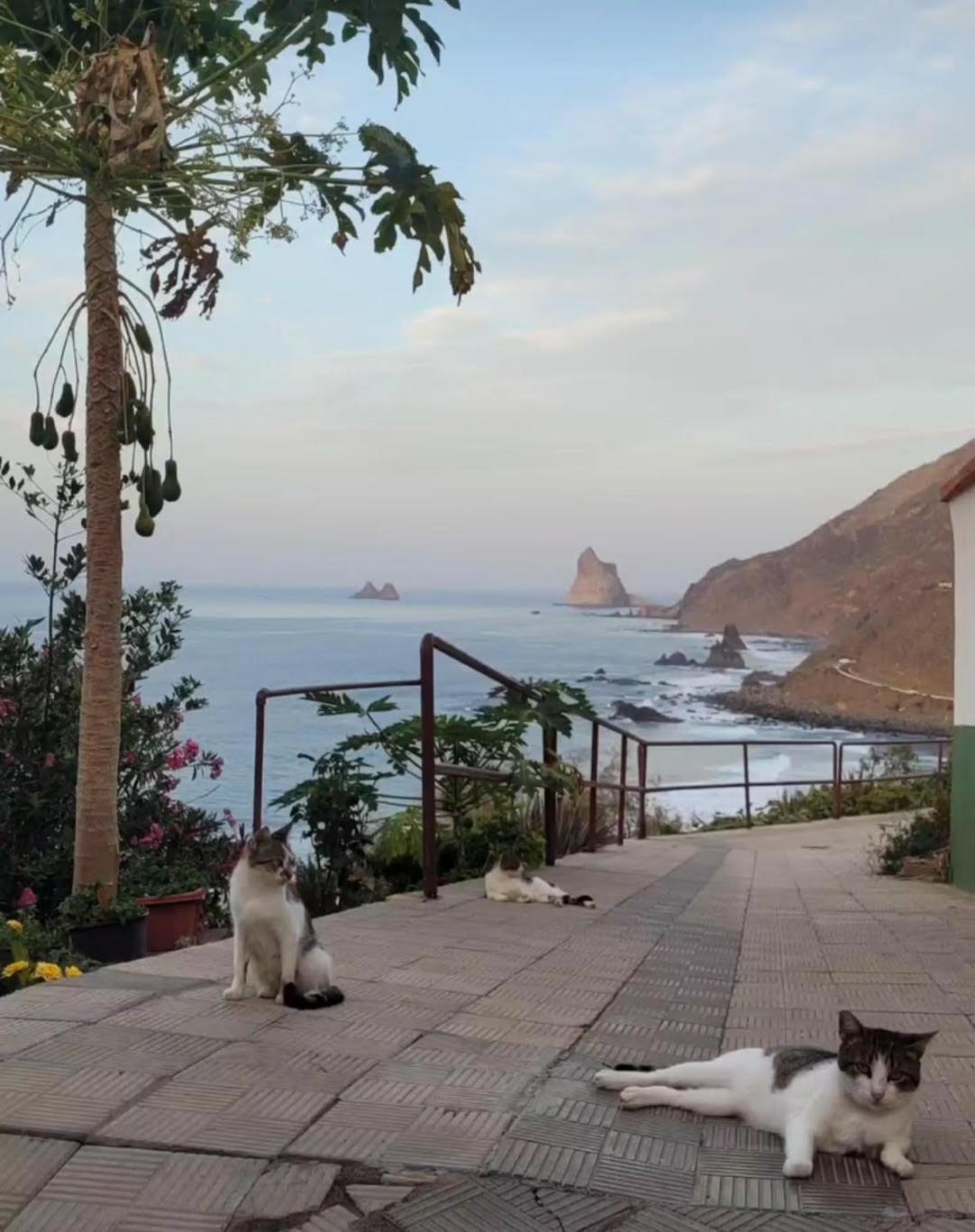 Casa Manolo Paraiso Trail Almaciga